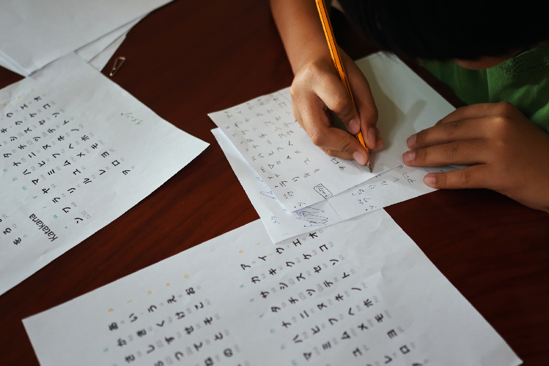 JKBOSE Revises Class 10 Board Exam Datesheet Due to Assembly Bye-Elections: Check Complete Updated Schedule and Key Details