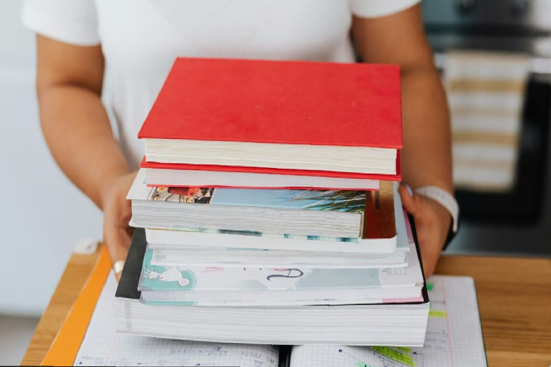 Study Abroad Choices: STEM, Business, or Liberal Arts? Navigating the Future Economy