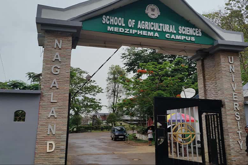 Nagaland University Launches MA in Rural Development & Management to Empower Regional Growth
