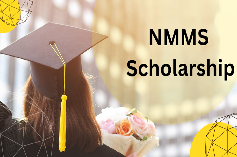 NMMS Class 8 Result 2026 Declared State-Wise: What Students Should Know About the Scholarship Milestone