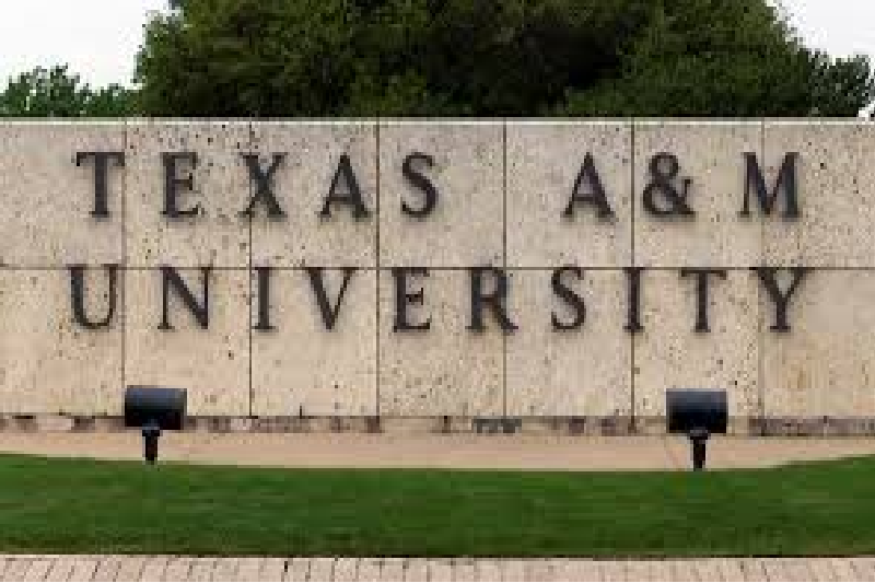 Texas A&M University Ends Women’s Studies Program Amid Controversial New Policy on Race and Gender Topics