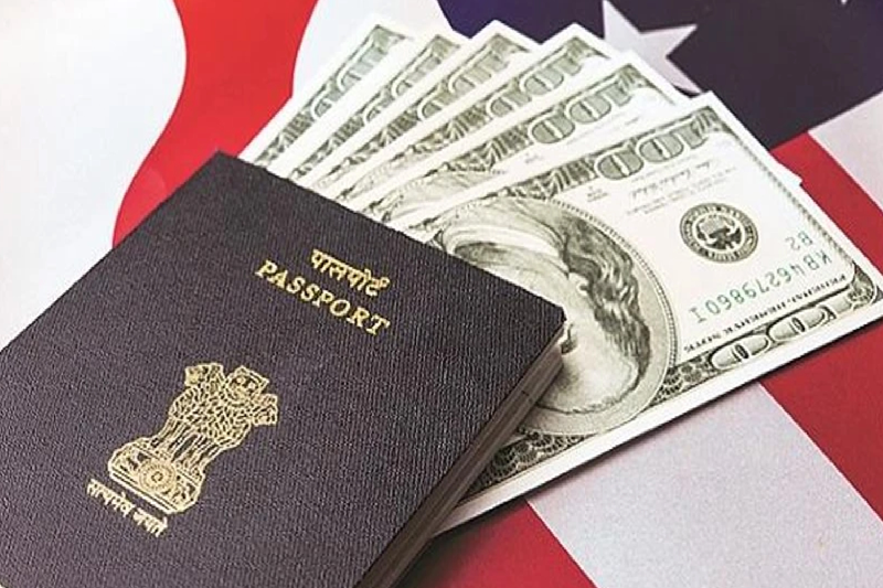 U.S. Colleges Struggle Financially as Trump-Era Visa Policies Slash International Enrolment